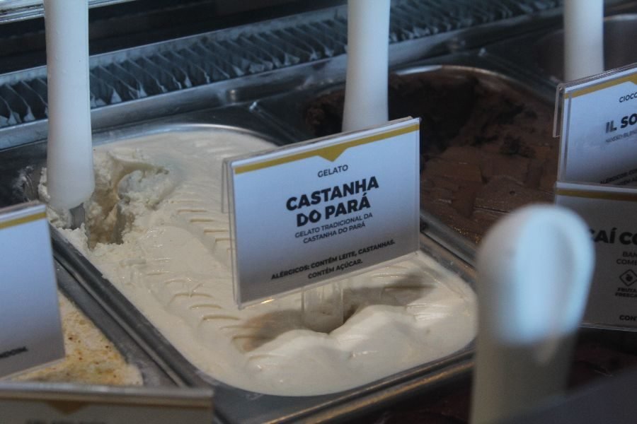 Gelato CASTANHA DO PARÁ